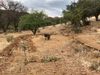 Ranch Creek Road photo